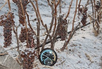 ���Ƶı�����̫��������ԓ��ô����