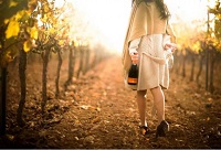 ���Ѿ���һ�����۵İ�H