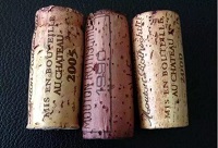 ��ľ�����Է�ƿ��߀��������Щ��