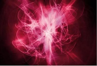 ���ѾƵľ��w��ʲô��