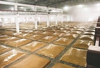 ���y(t��ng)���x�ϵİ׾ƏS�O(sh��)Ӌ