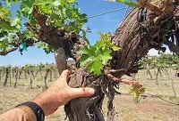 �������Ѿ��ǺþƆ���