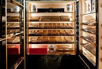 �A͢�ƽѶ���ѩ���������˸������ζ��