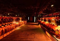 ��ʲô�׾ƾƽѱȰ׾ƾ�ƿ?j��)?ch��)�Ƹ�����