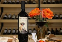 ������_���_�t�Ƶ�ܛľ����