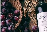 �ķN���Ѿƌ���Ľ���������