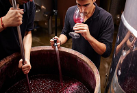 ���ѳ�������������ѾƵ�Σ��!!!