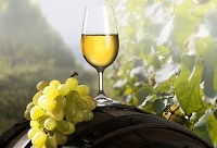 ���Ѿ��_(k��i)ƿ�󵽵��ܷŶ����